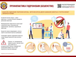 Роспотребнадзор информирует о рекомендациях по профилактике бешенства